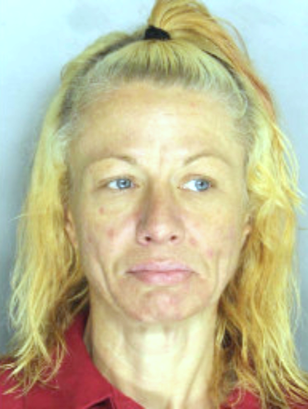 Lewistown woman charged with multiple felonies in Renovo crimes News, Sports, Jobs The Express